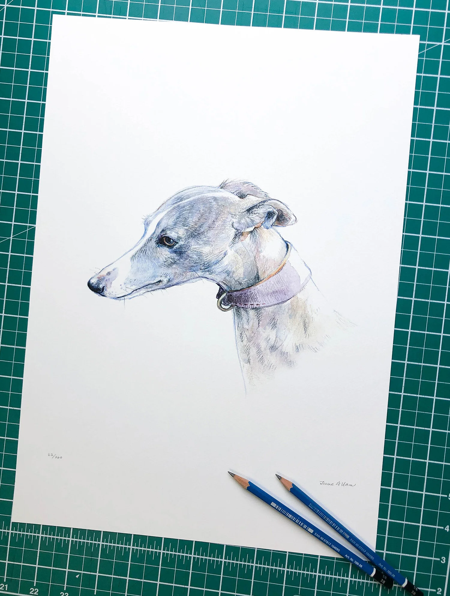 a3_whippet_print.jpg