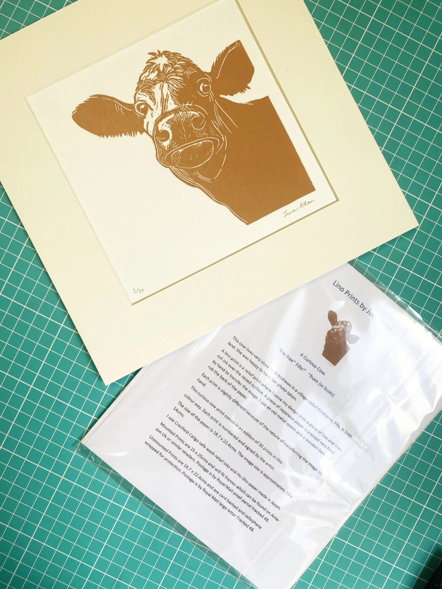 cow_lino3sqsp.jpg