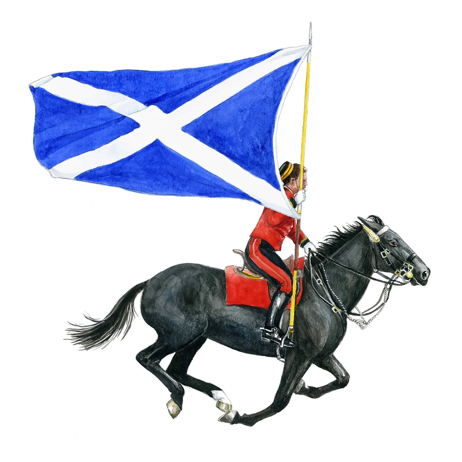 saltire_flag.jpg