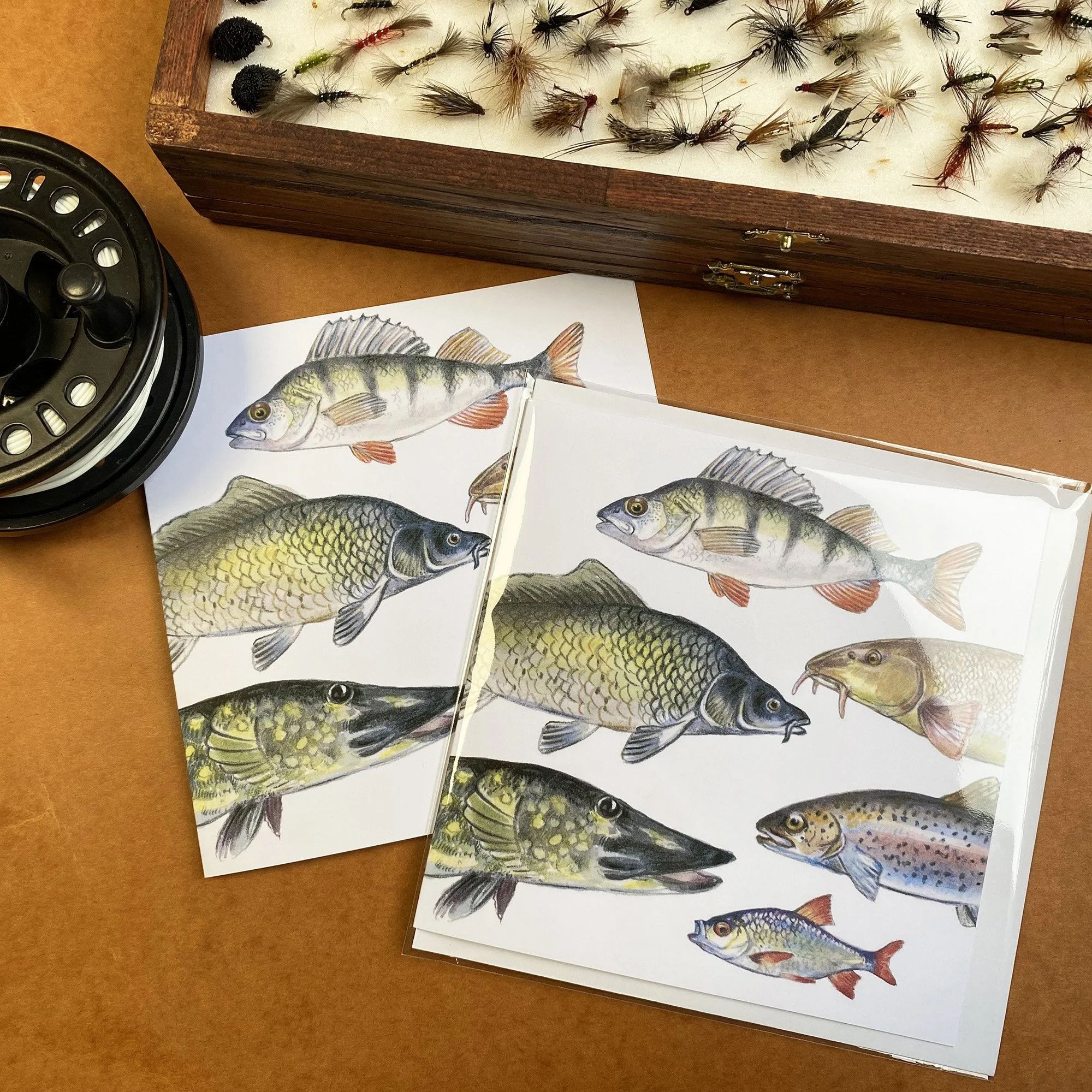 fishcard4.jpg