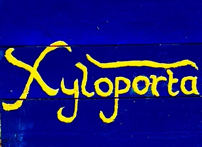 Xyloporta