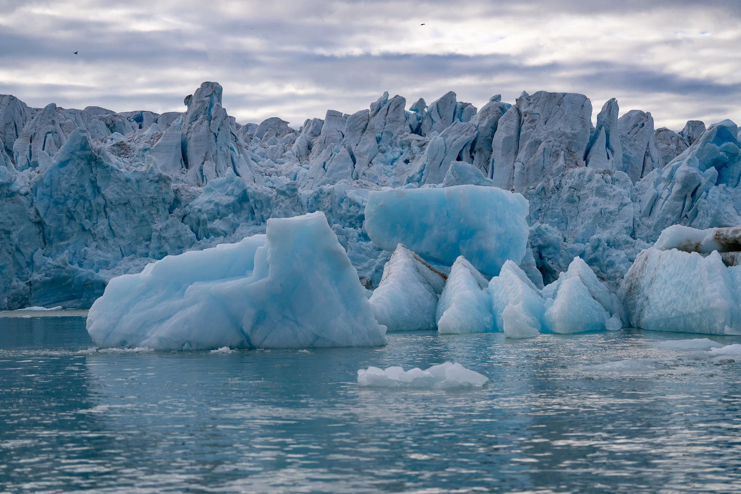 Glaciers_Svalbard_HarrisDro-6.jpg