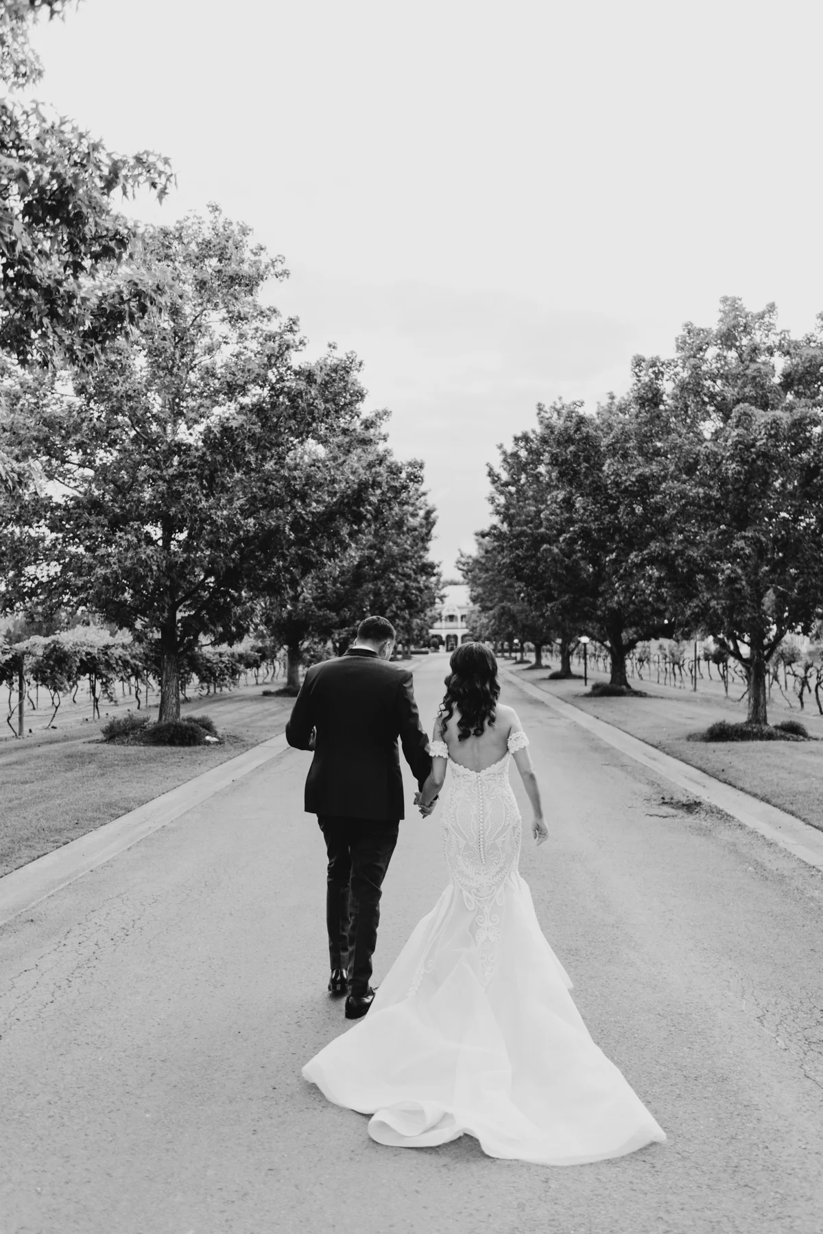 Ivana and Adrian walking away from the camera on a long road with big trees planted on either side.