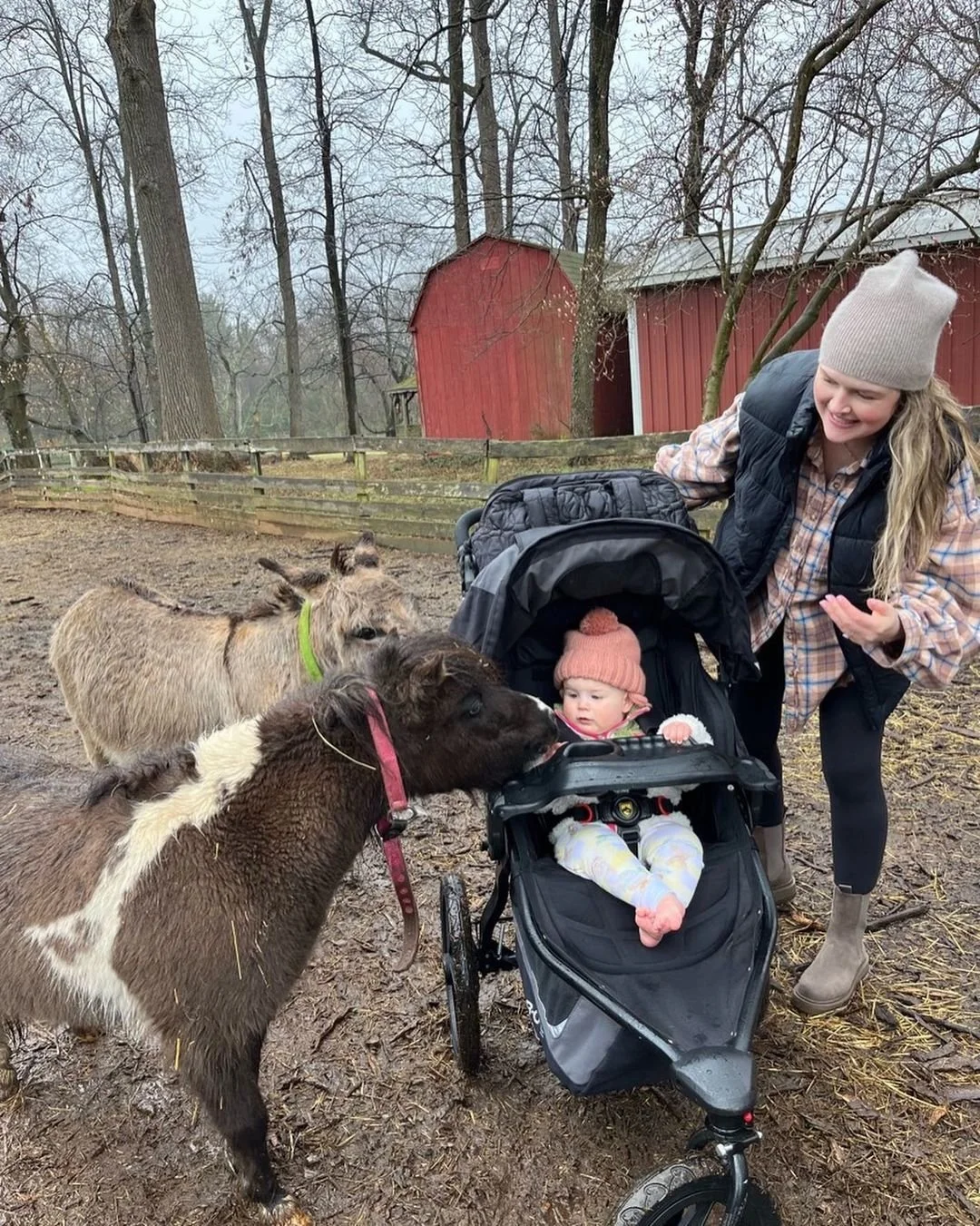 Family fun at a farm