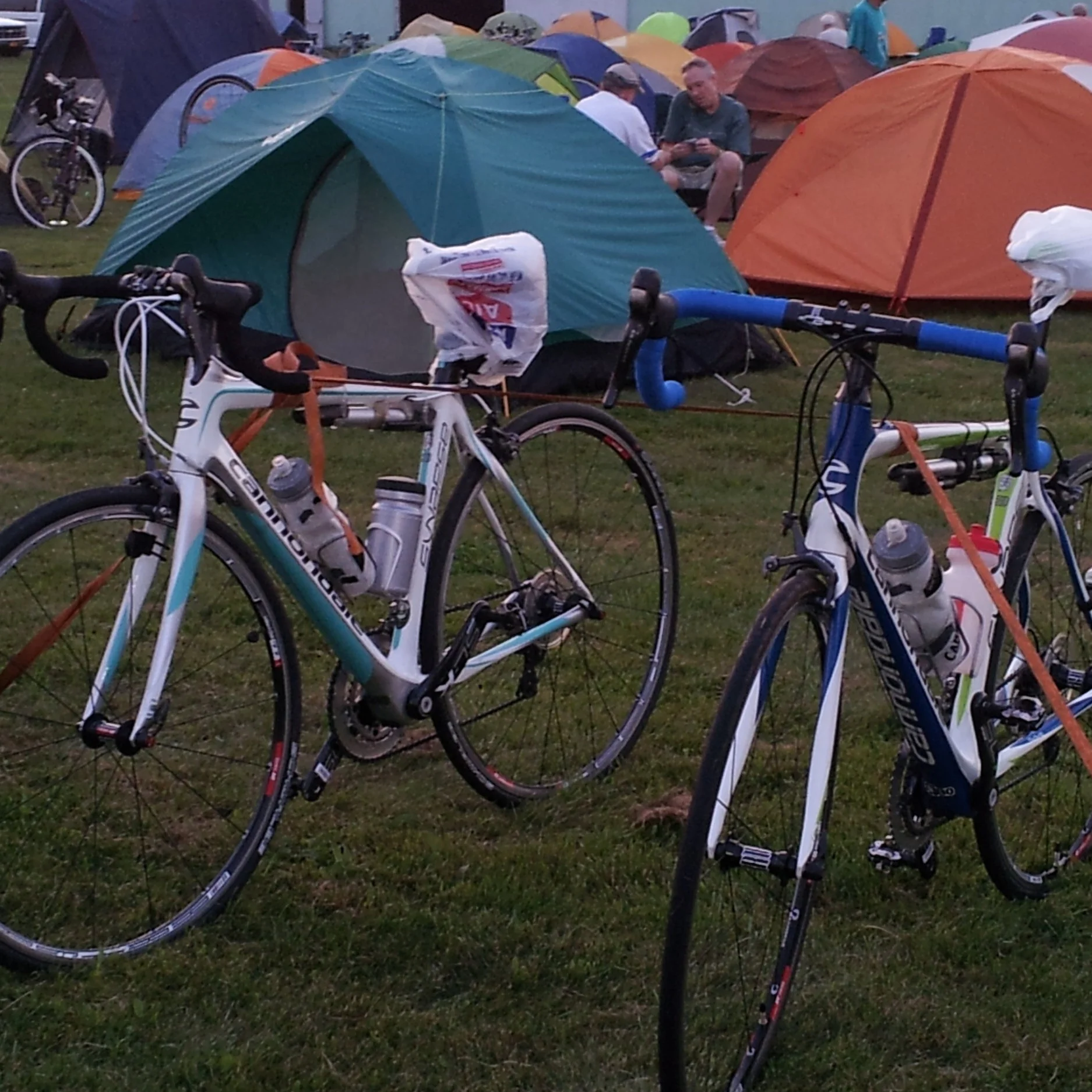 The Bon Ton Roulet A Festival on Wheels through the Finger Lakes Bike Tour Survival Guide – #3 in a series