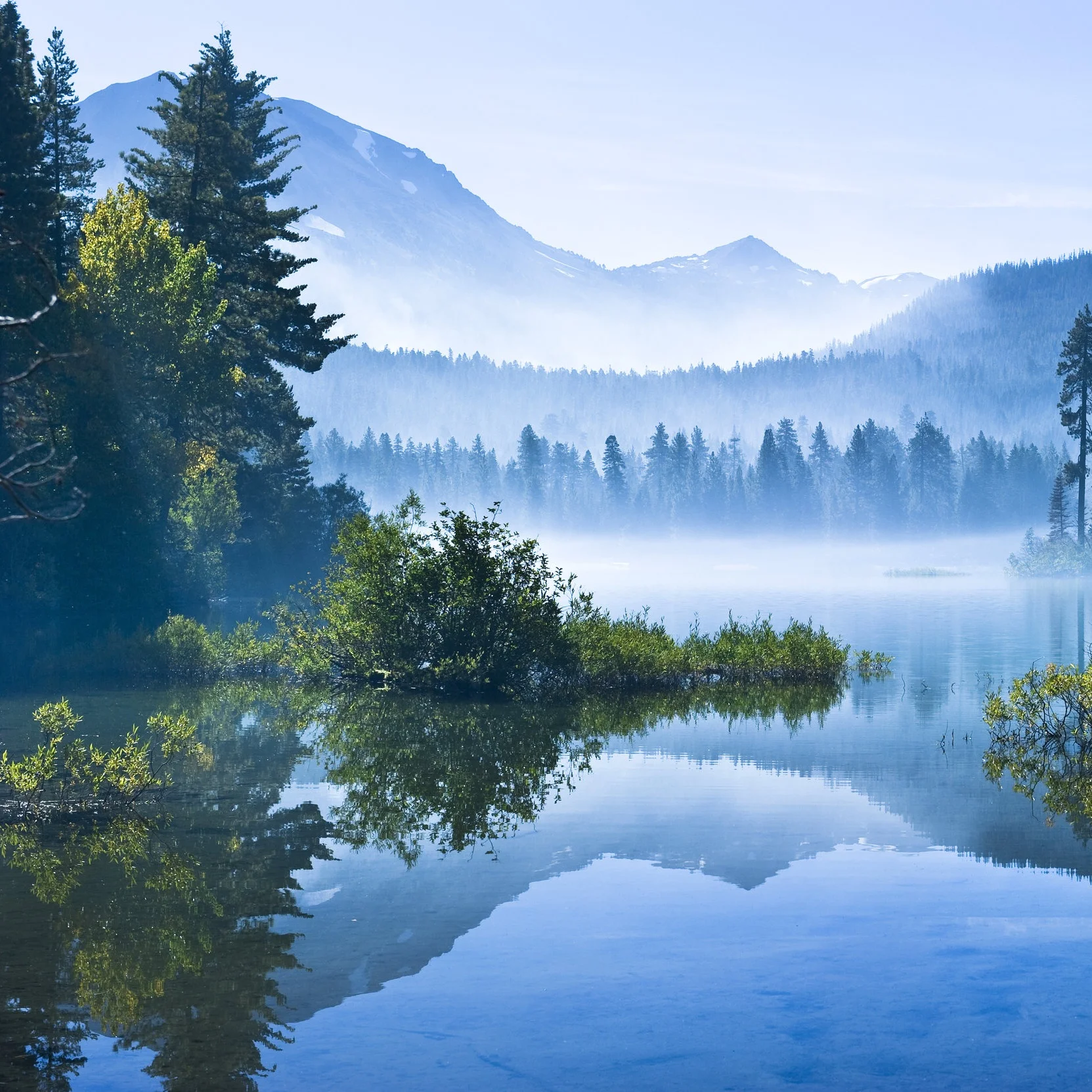 The Nature Prescription: Bring nature inside your home and office