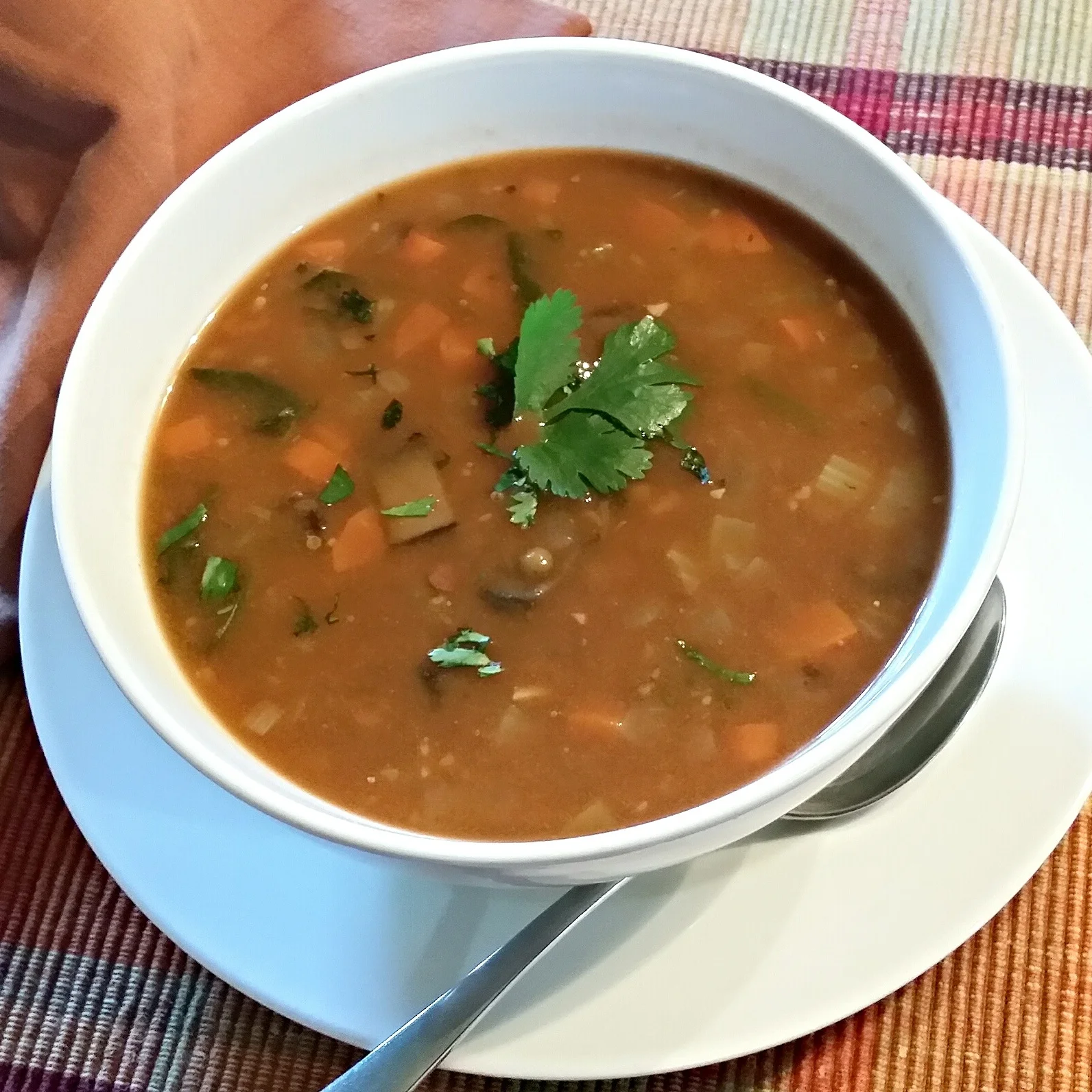 Lentil Soup with Portobello Mushrooms &amp; Spinach