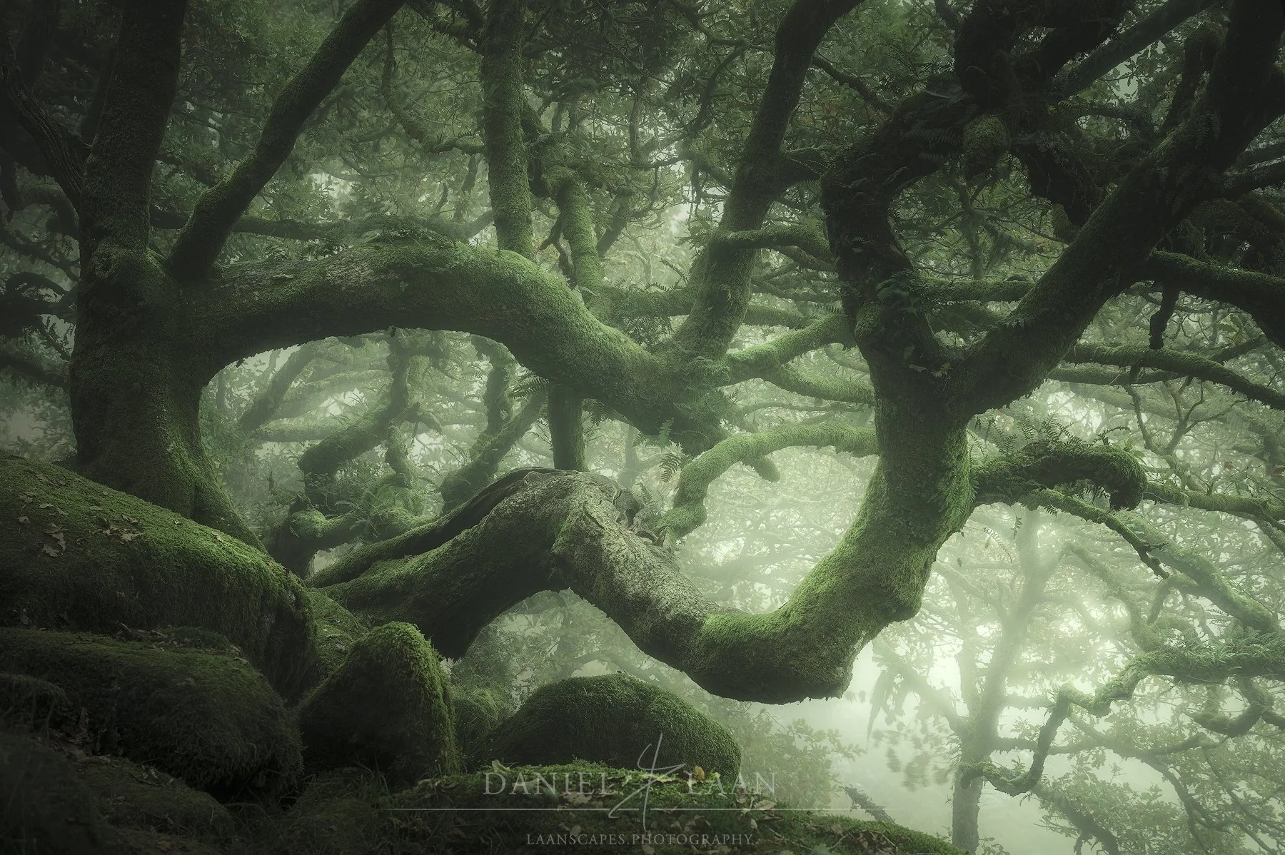 Untangle.jpg