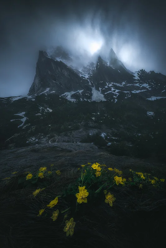 Last Beauty before Mordor - There are few images that I have not focus stacked in my portfolio. Such sharpness, front to back, cannot be had when focusing a third into the frame.