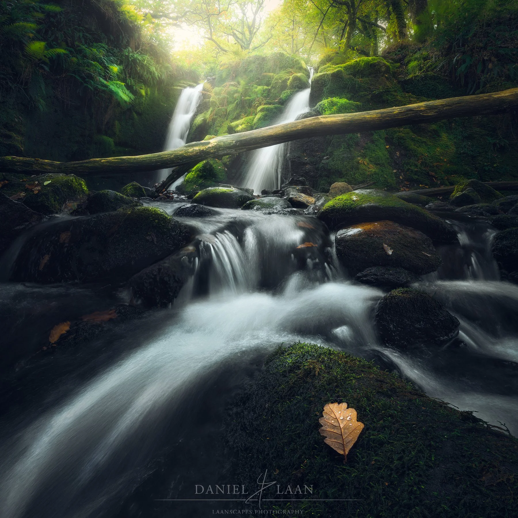 Overgrown-Falls.jpg