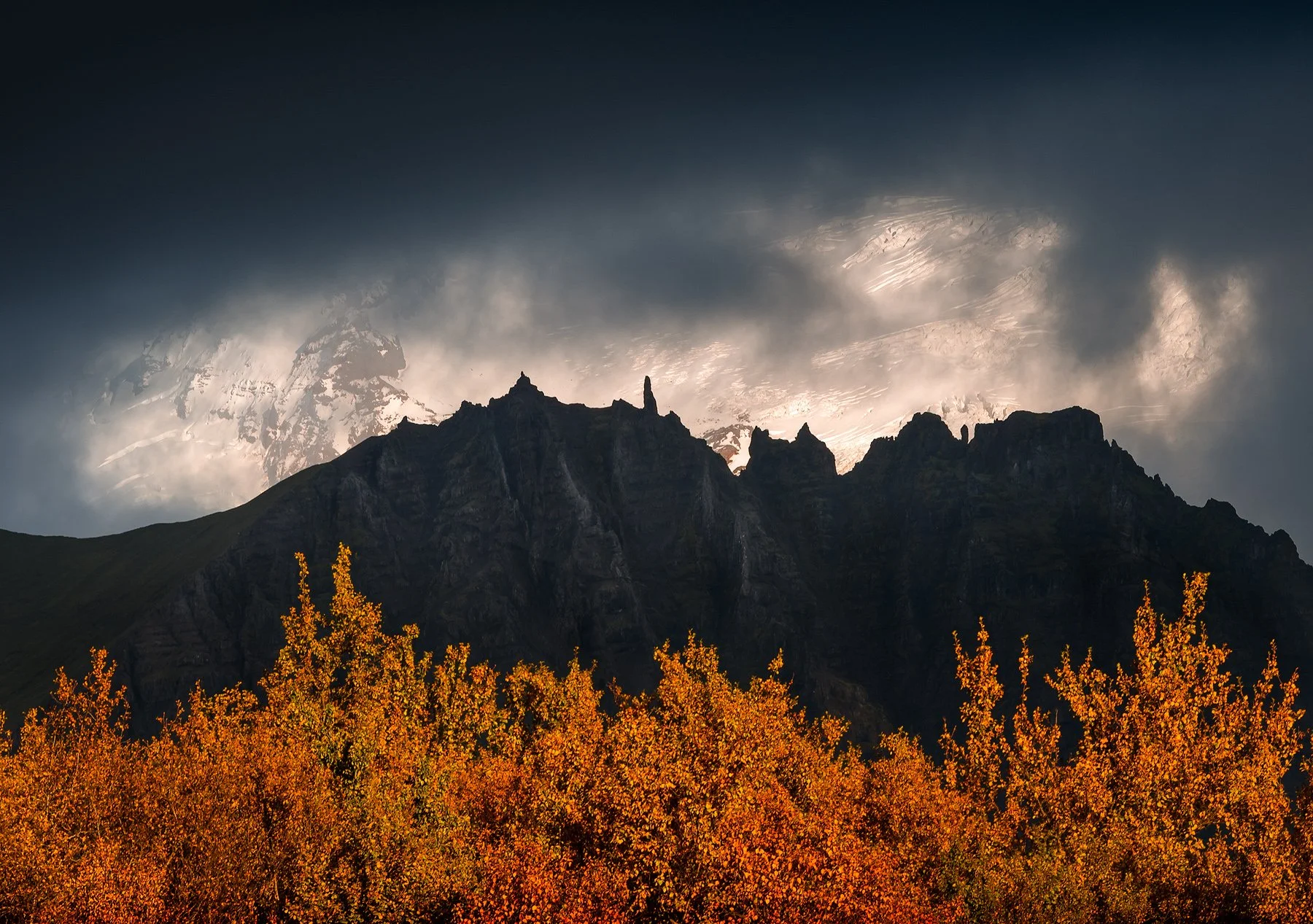 Gleaming Autumn.jpg