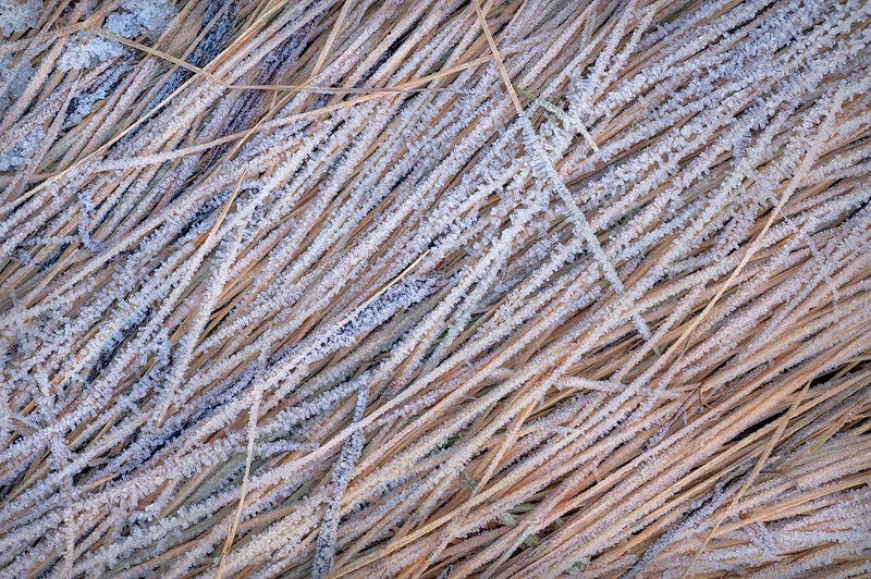 Iceland Winter Vegan Landscape Photo Workshop | 7 Days of Intimate &amp; Abstract Landscapes