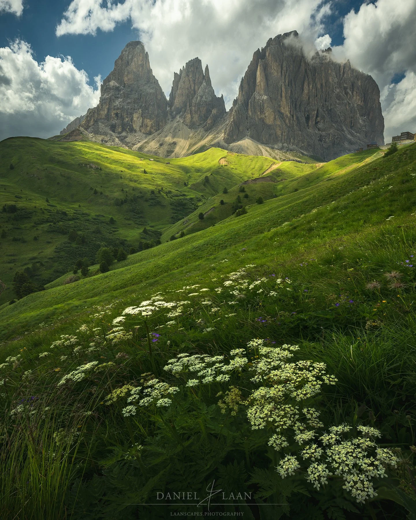 Meadow-Watcher.jpg