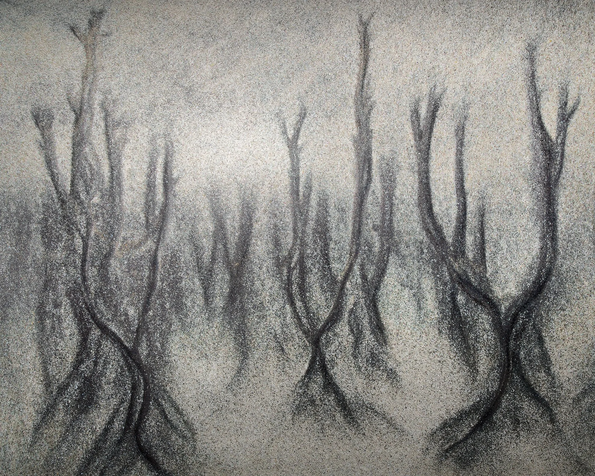 Scorched Forest II