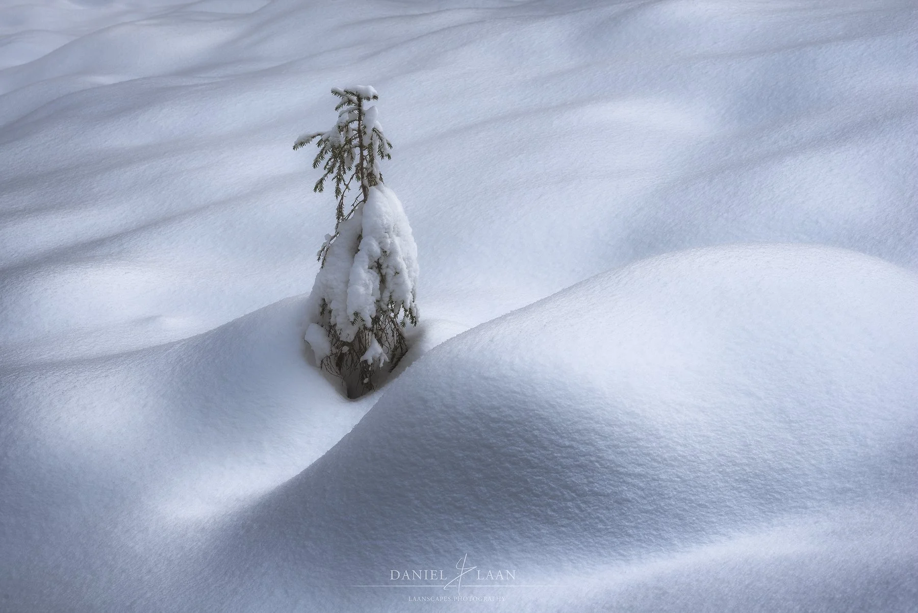 Snowbound