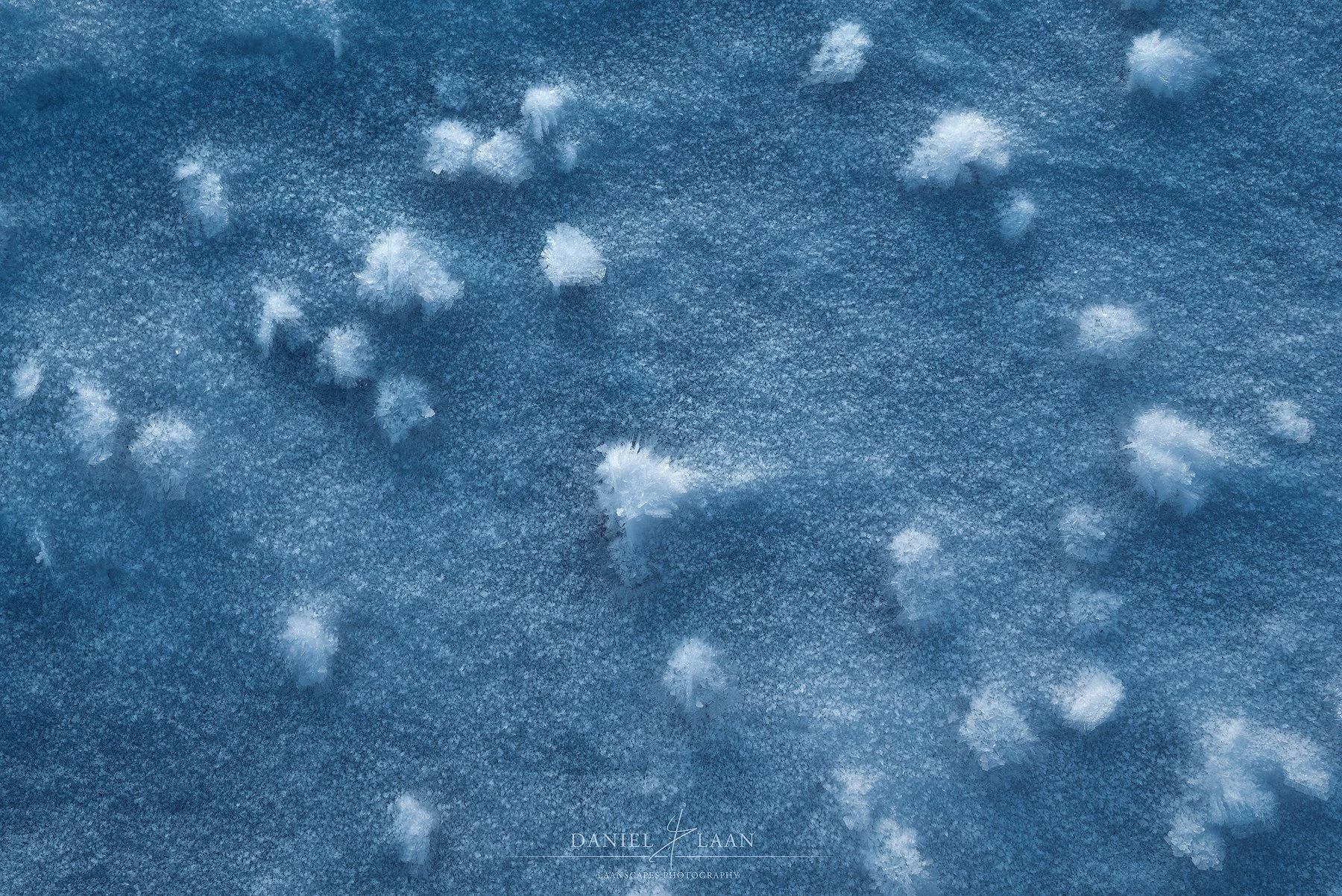 Wintergrowth