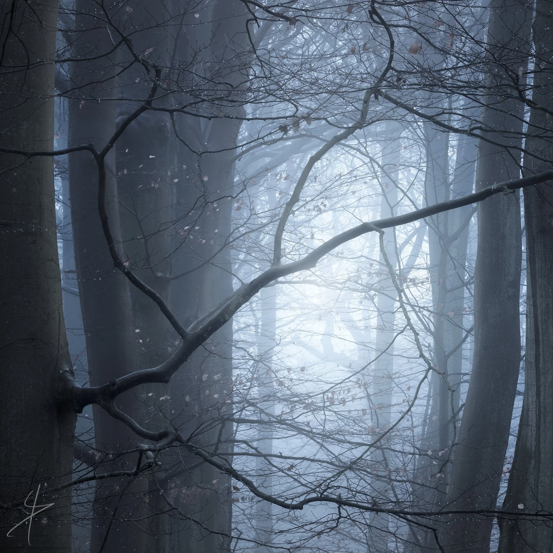 Runetree
