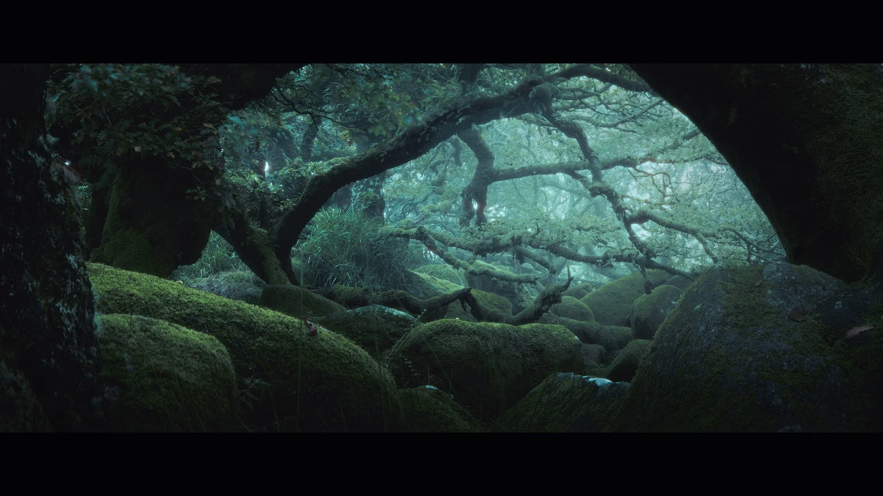 Haunted-Forest-I.jpg