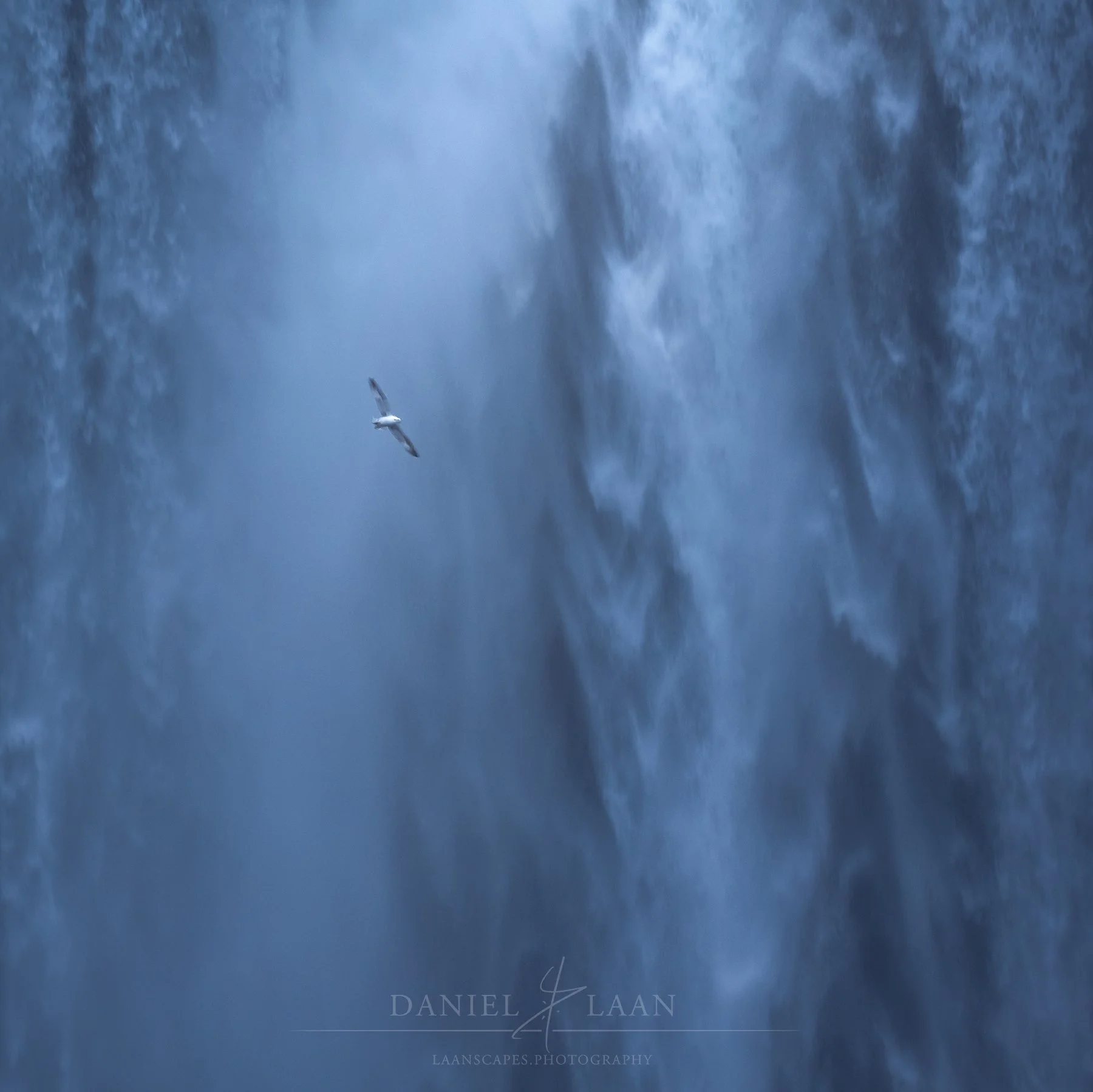 Defy