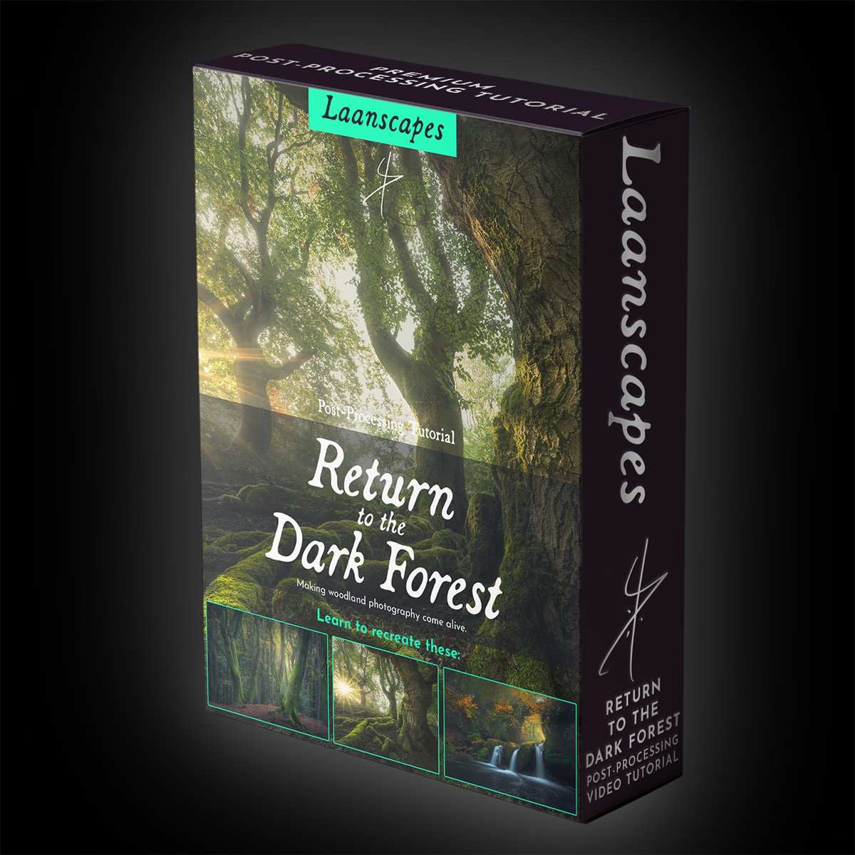 Return to the Dark Forest.jpg
