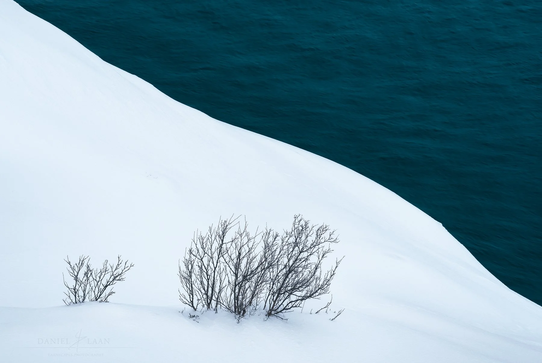 In the White
