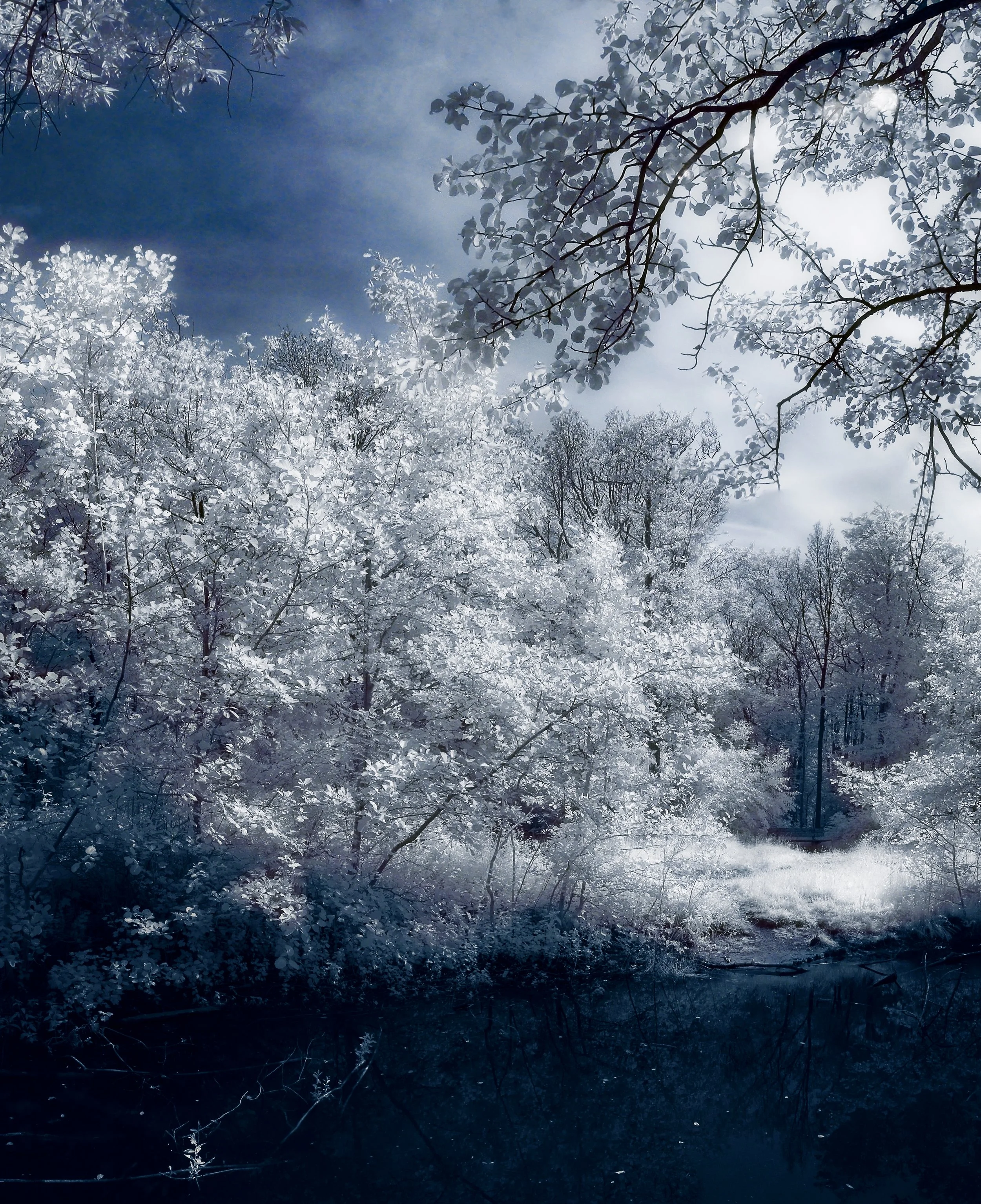 Blackwater Park.jpg