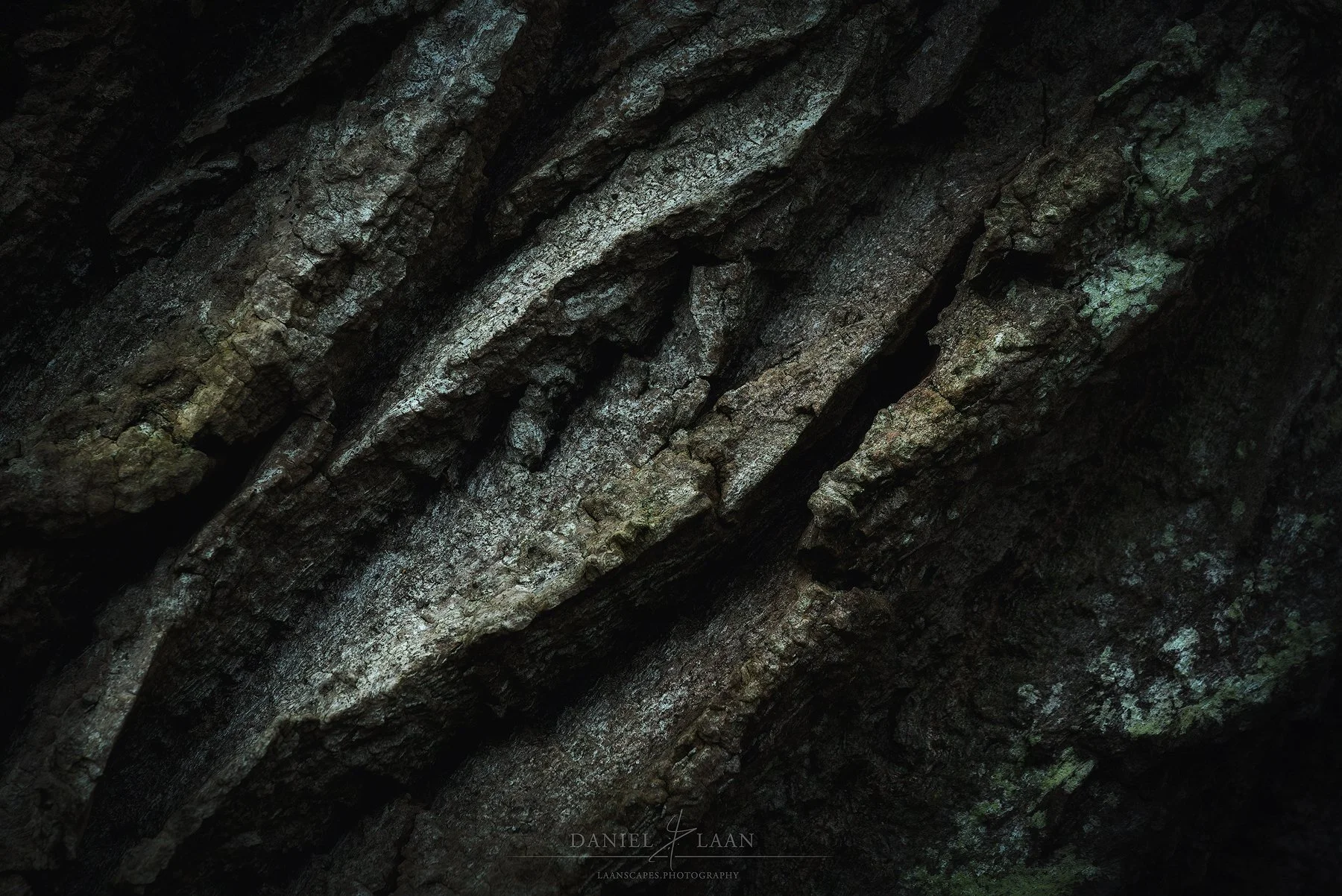 Pineskin