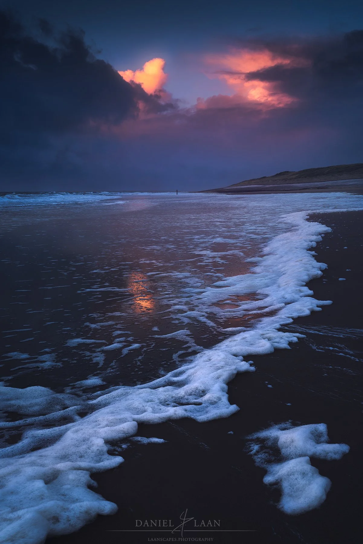 Vicous-Shores.jpg