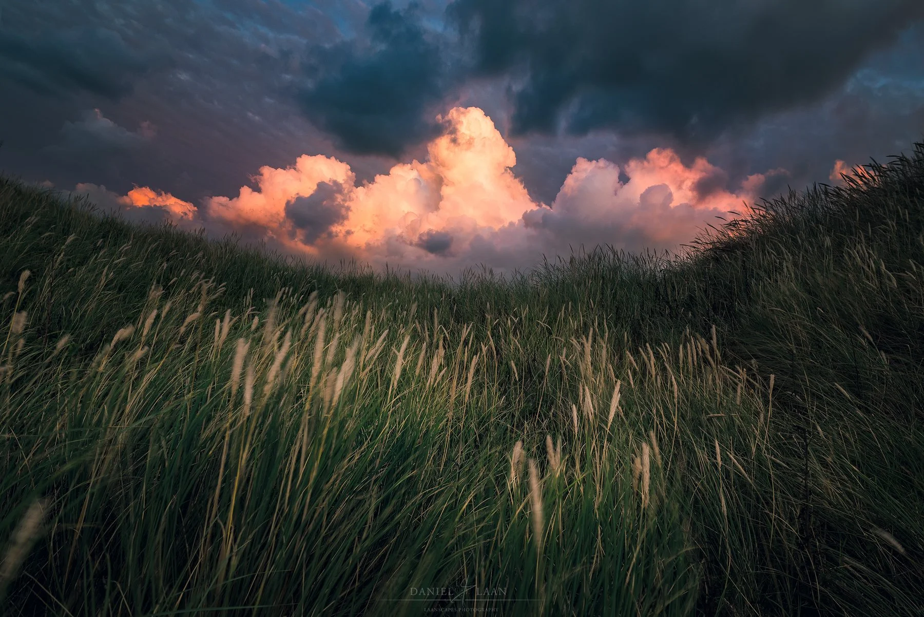 The Last Billowing Before Sunset