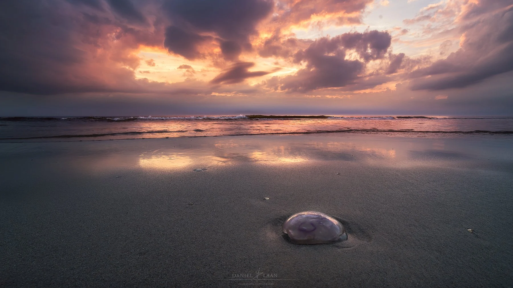 Homeward-Shore.jpg