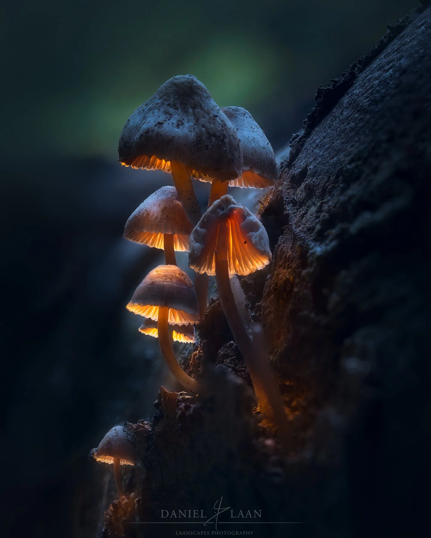Seven-Sisters.jpg