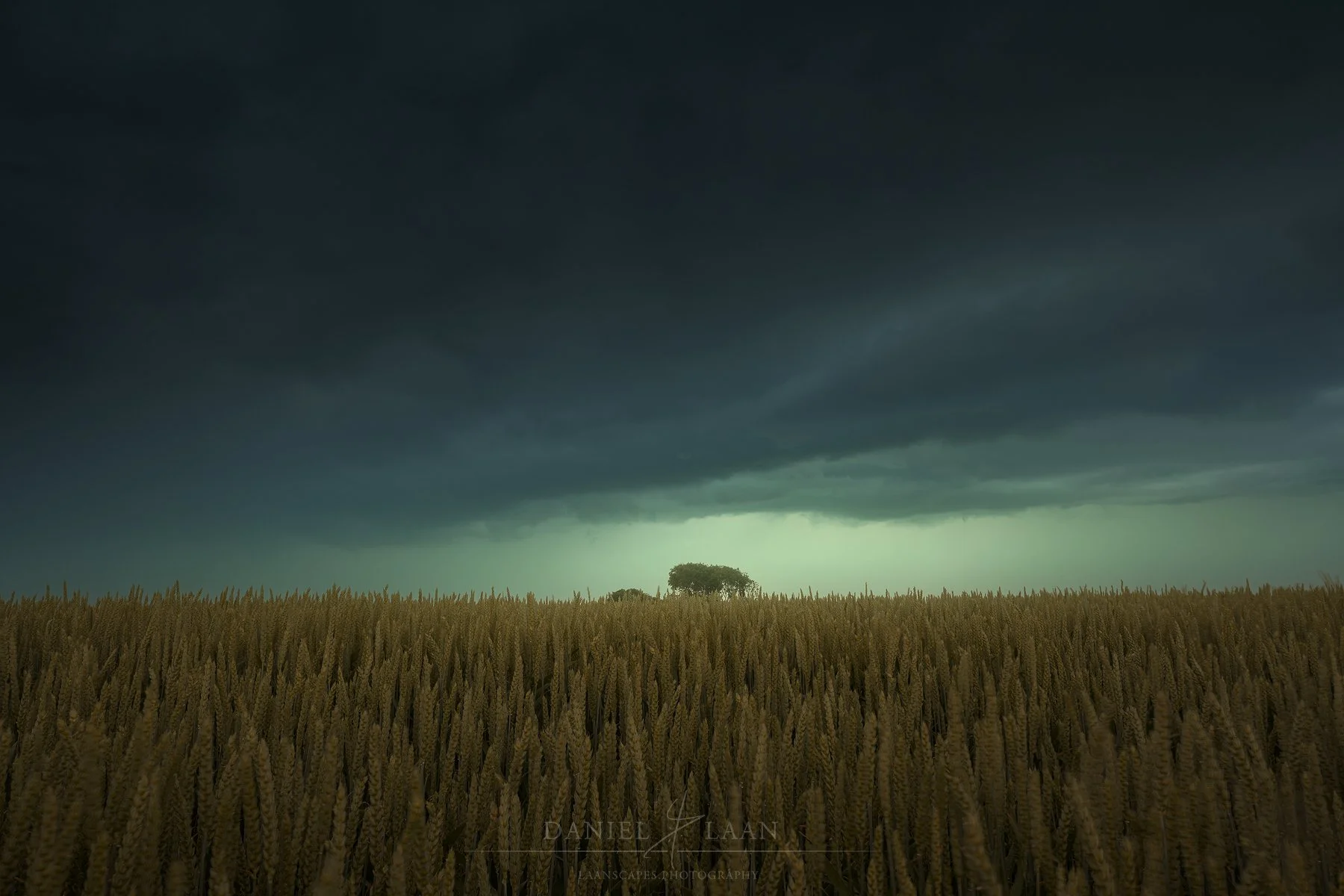 Creepy Green Light