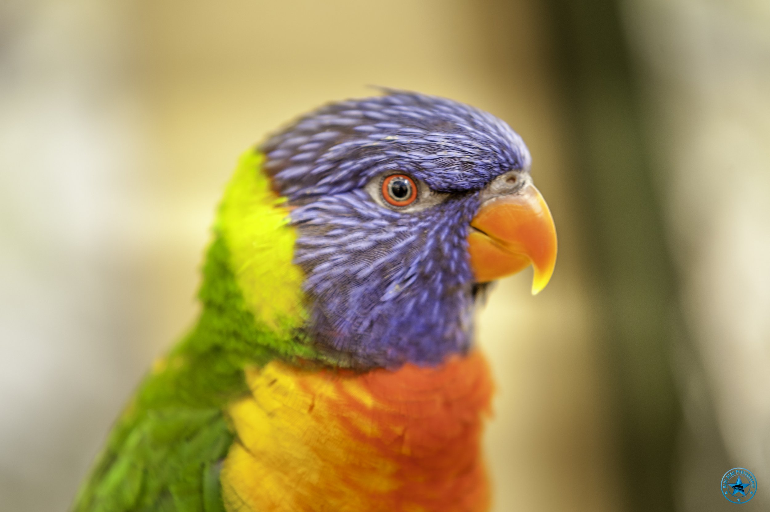 DSC_1818-Edit.jpg