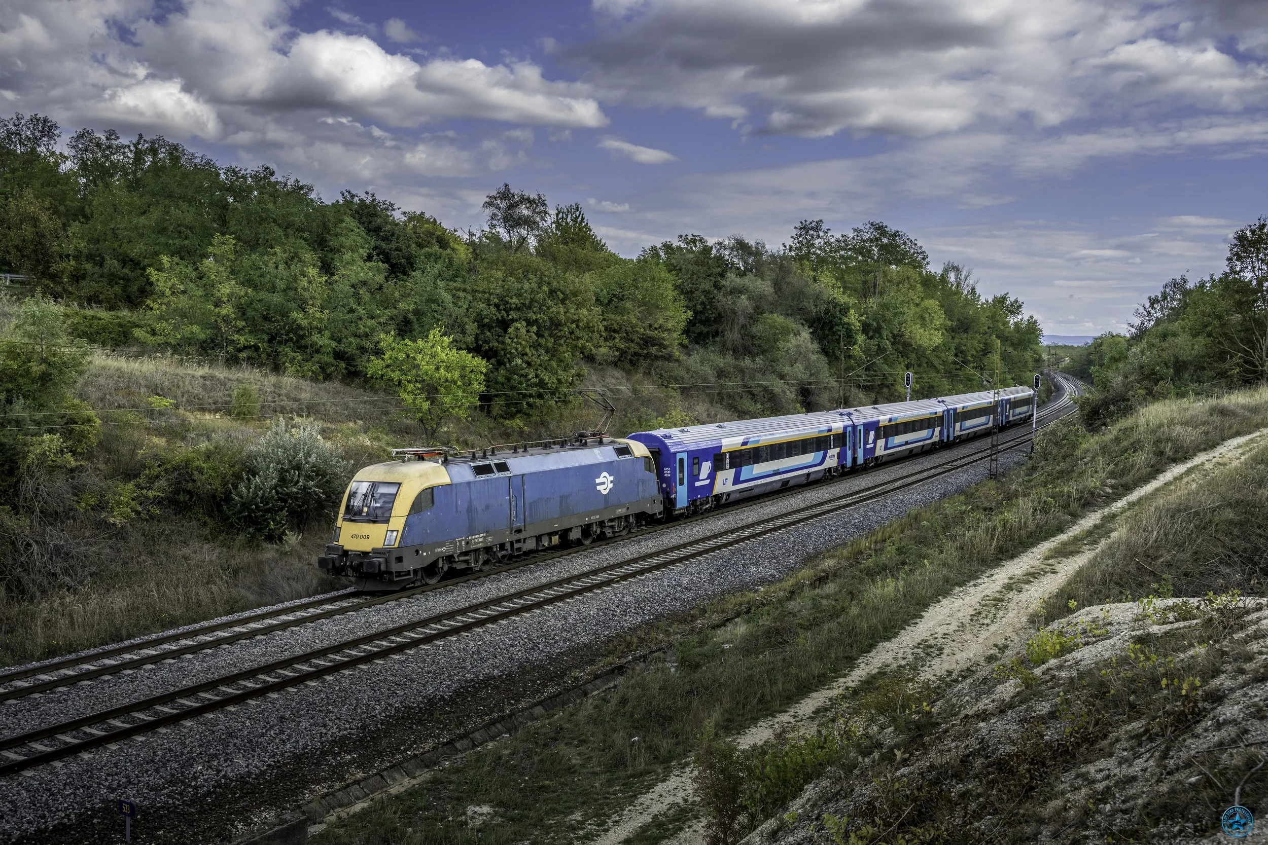470-009 Szar
