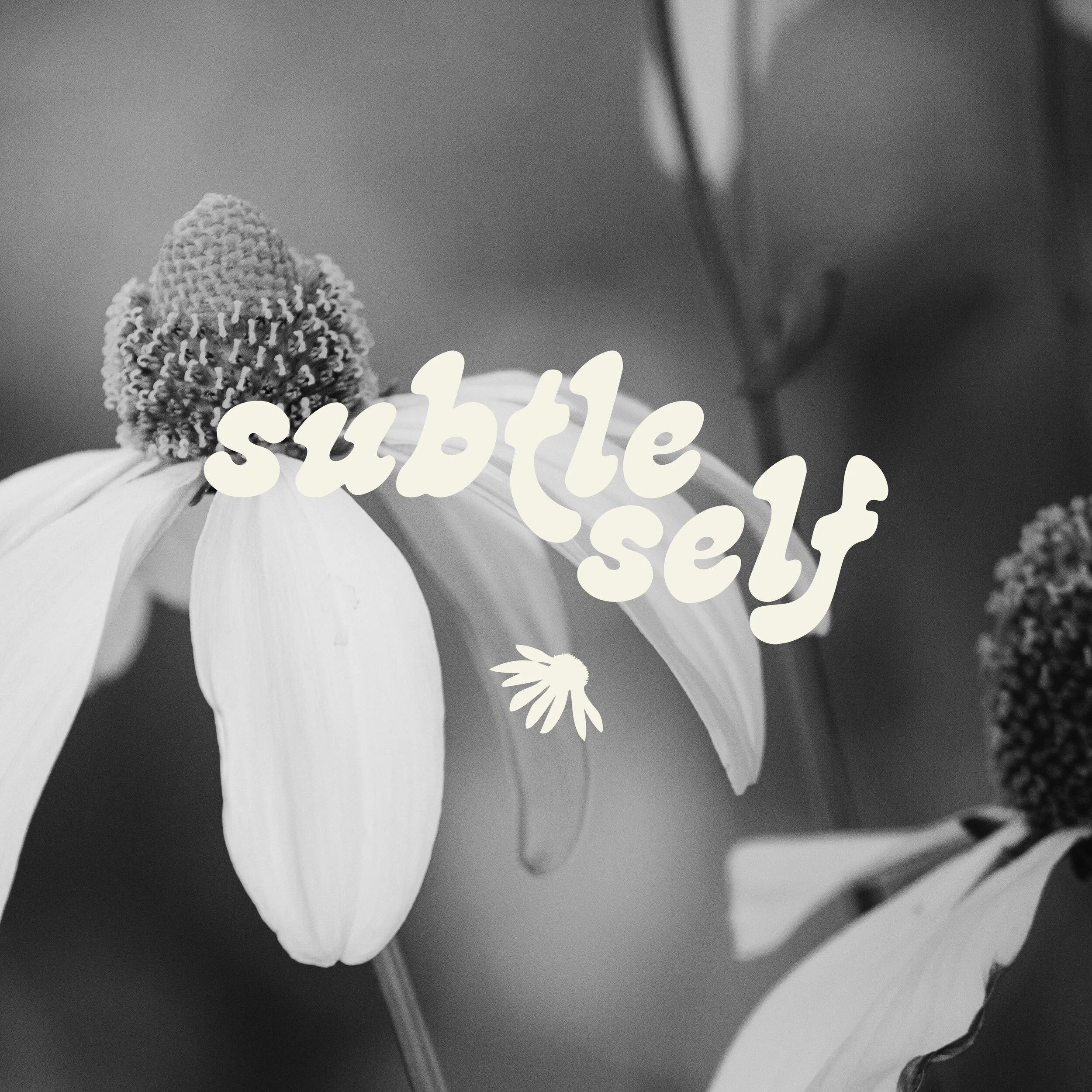 Subtle Self Graphic 01.jpg