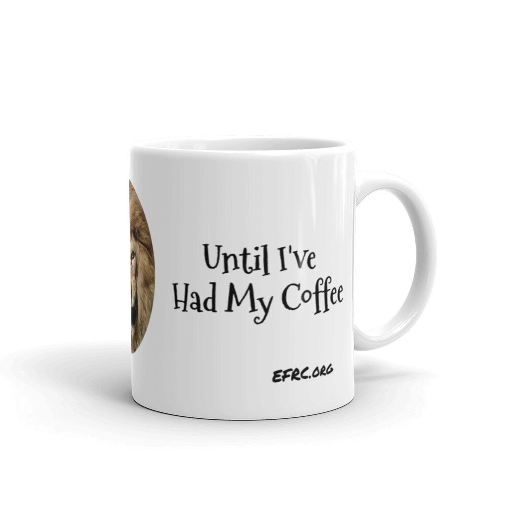 Don't Talk To Me Until I've Had My Coffee Mug Funny Mug 