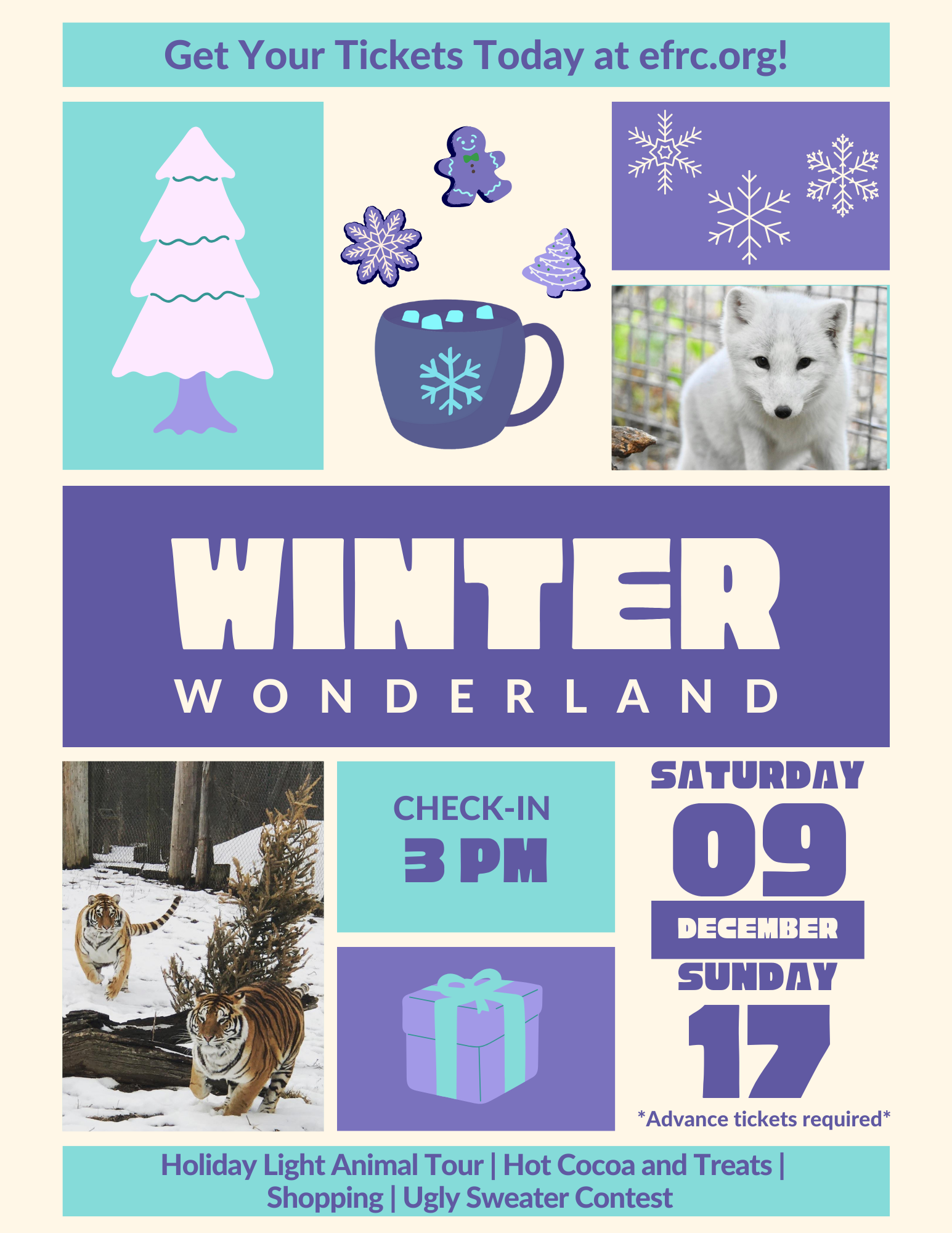 Winter Wonderland 2023