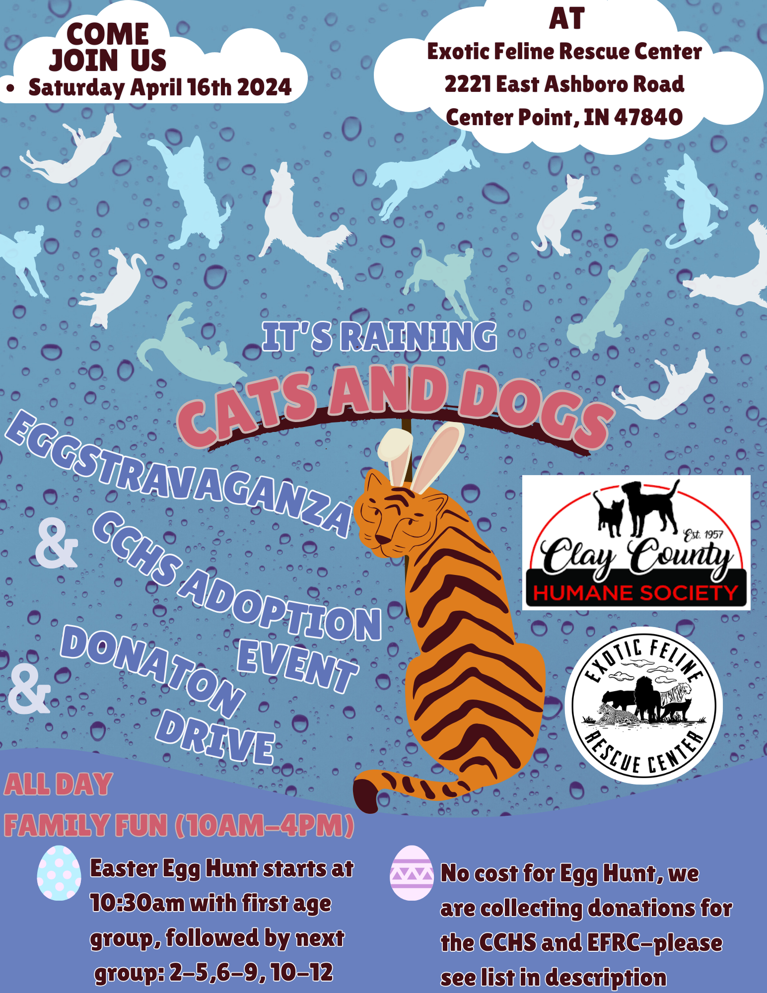 It's Raining Cats and Dogs EGG-stravaganza