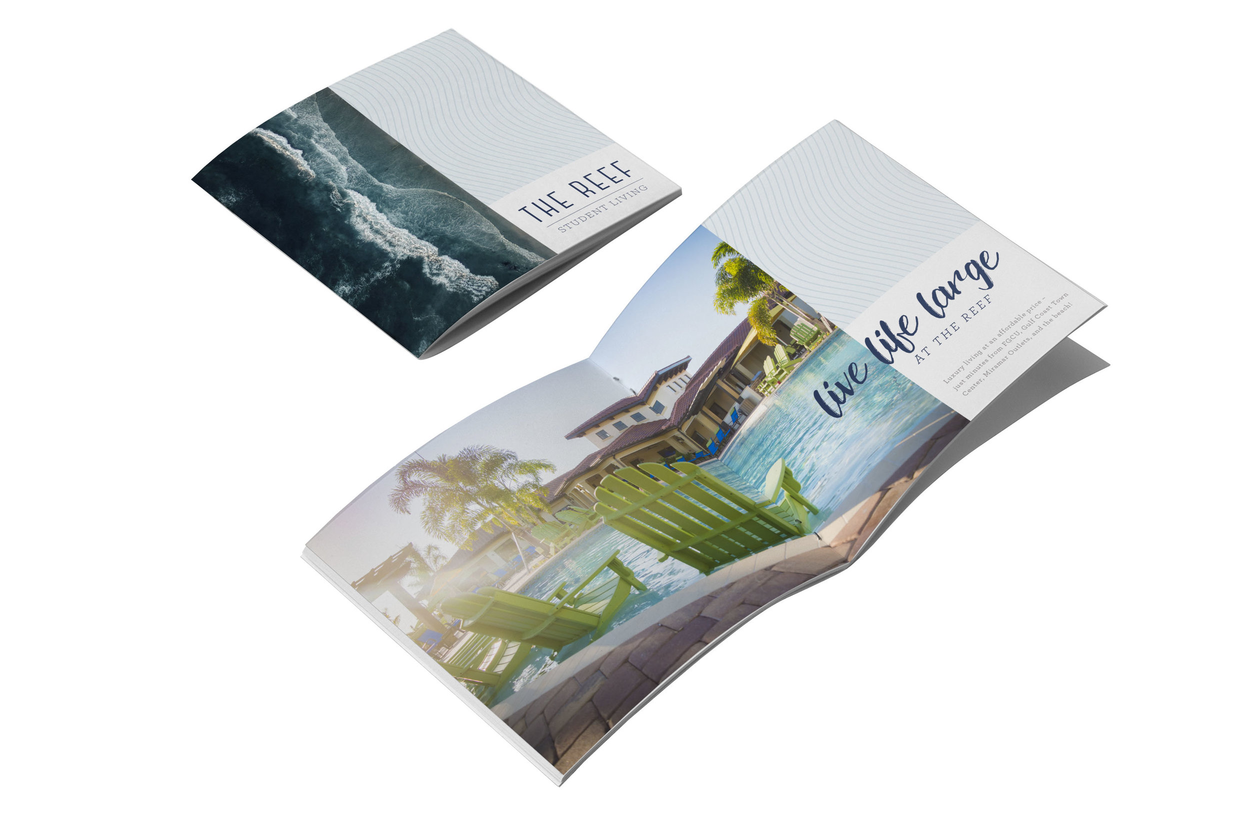 REEF-brochure.jpg