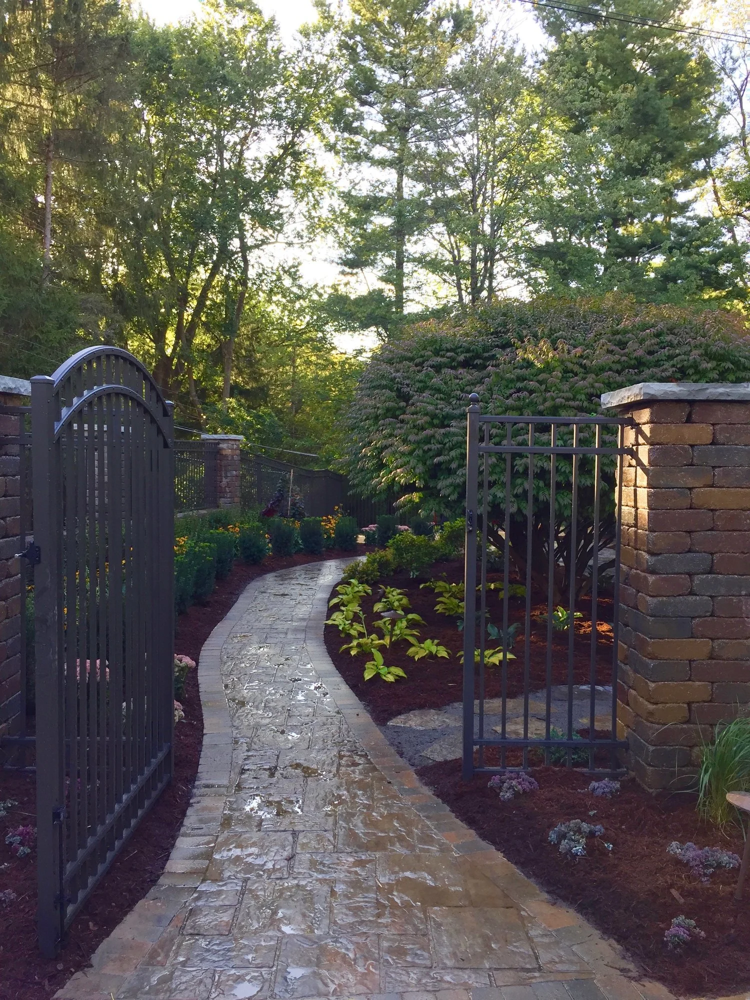 Deer Proof Landscape