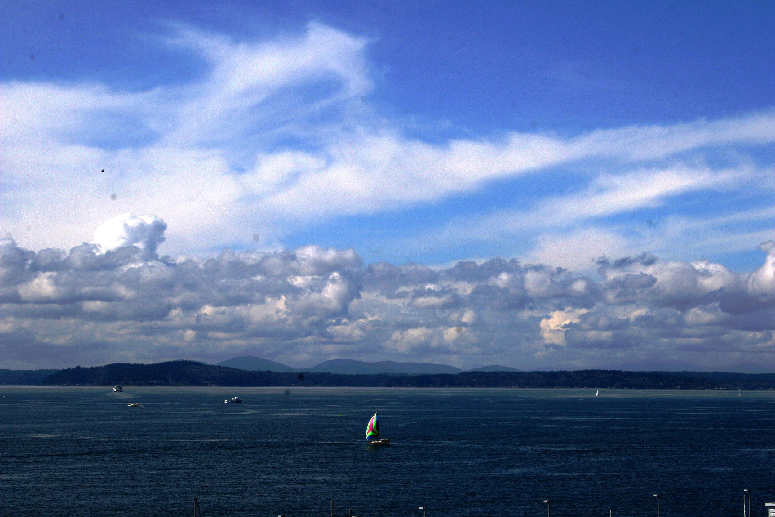 Stress, Trauma, Adjustment, Adaptation and Resilience