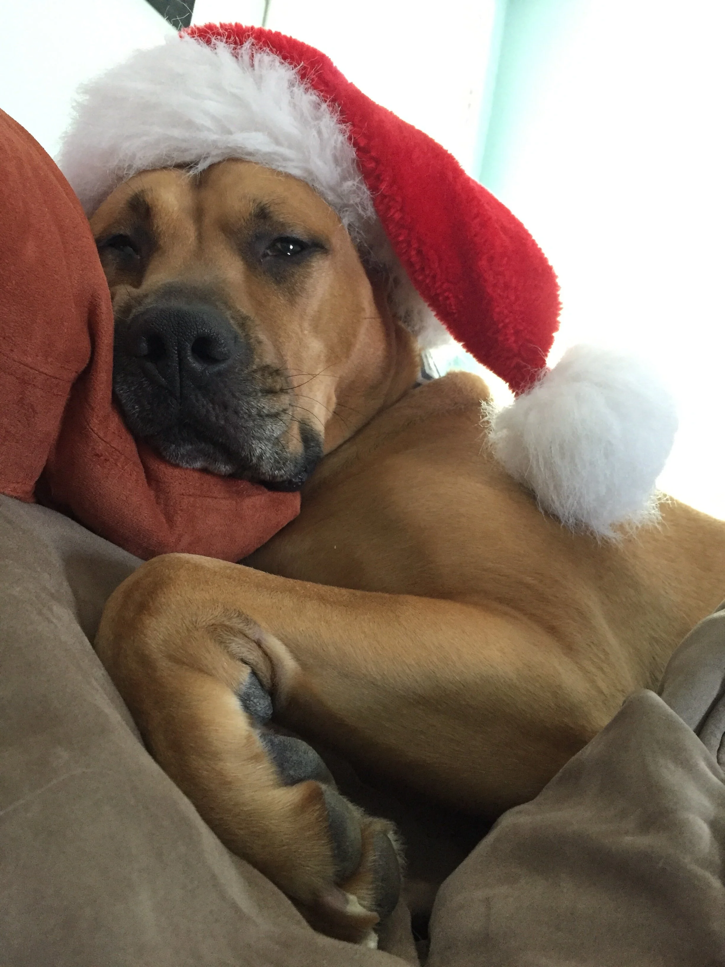 Here Comes Christmas