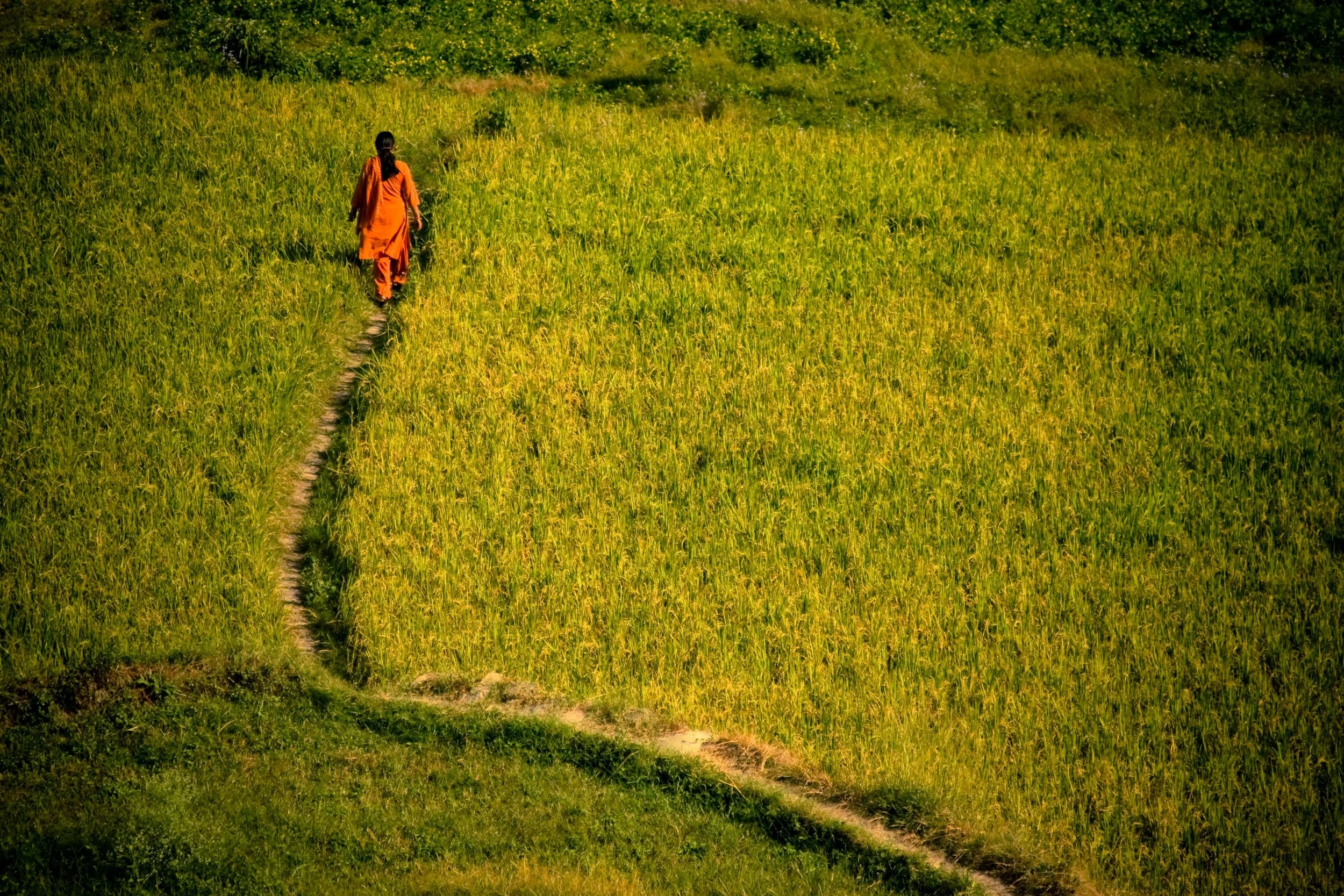 Customer Journey Guide: Mapping Success in 2026