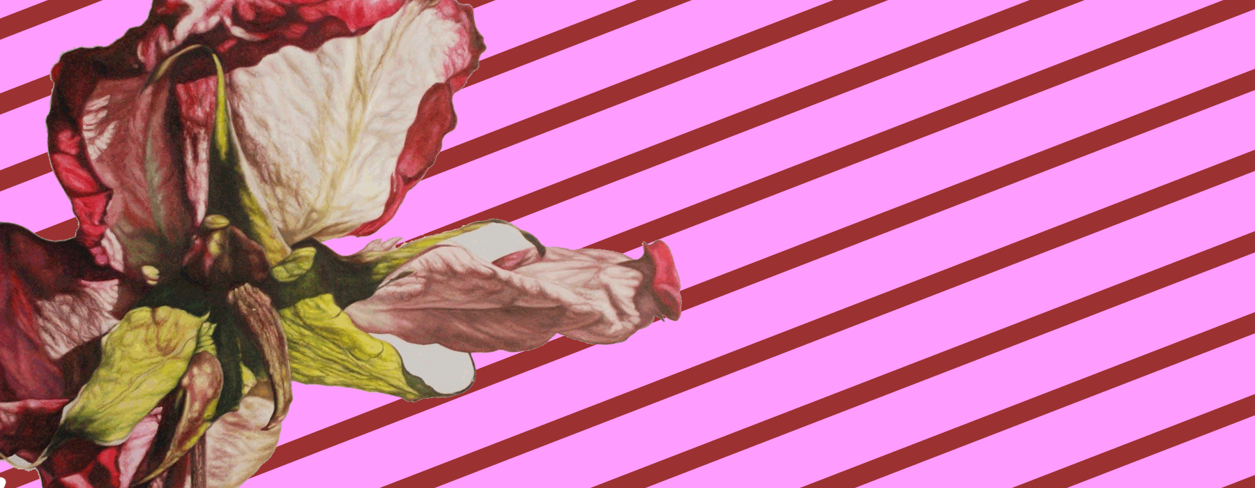 22.gif