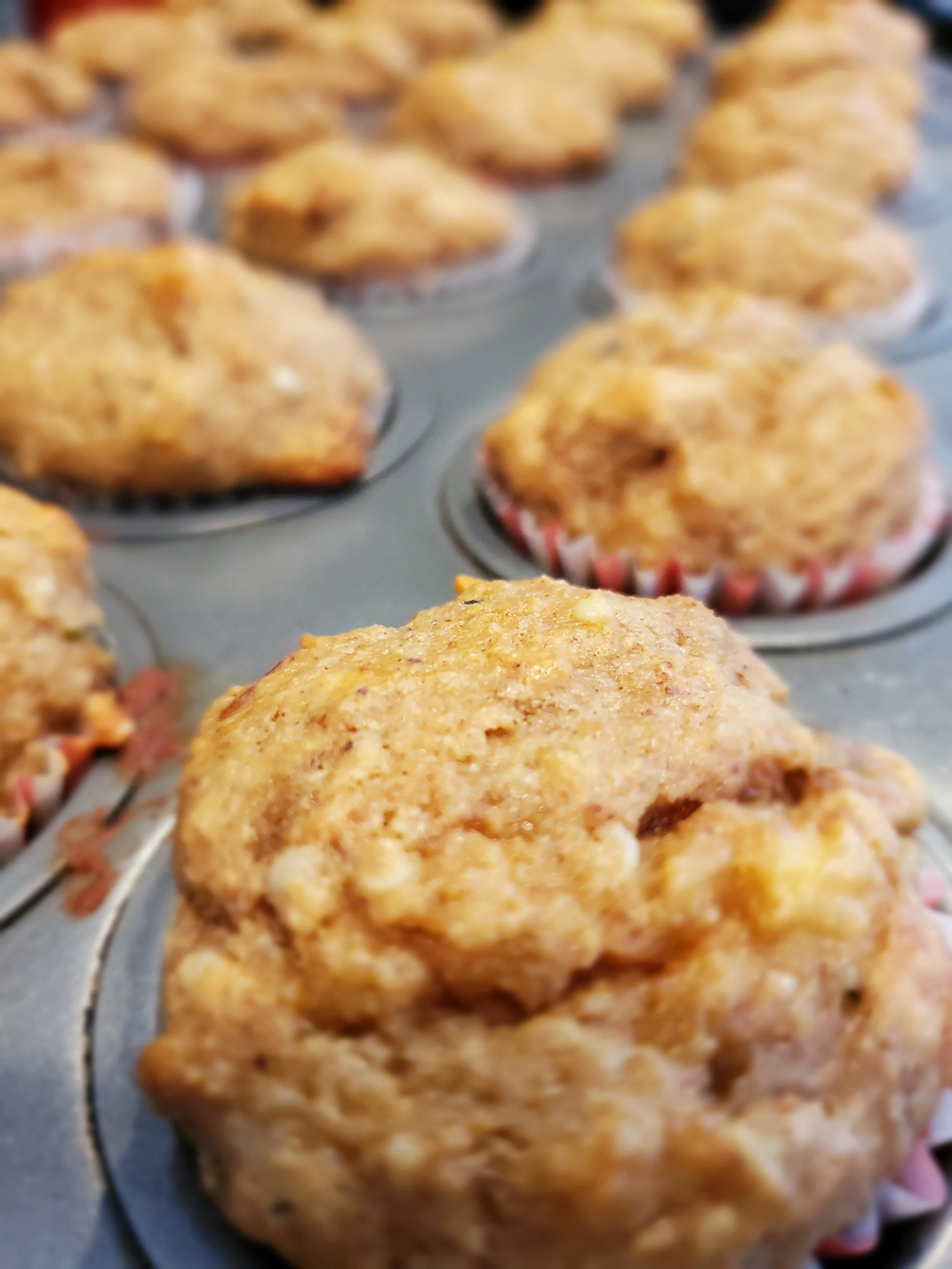 Paleo Protein Banana Muffins