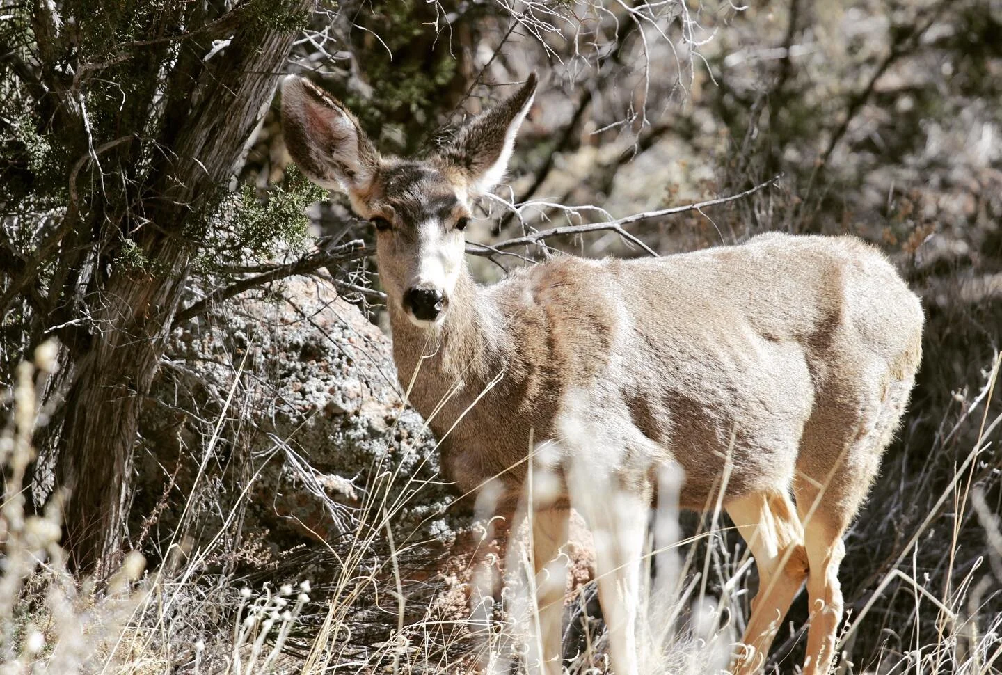 they&rsquo;ve chosen me.