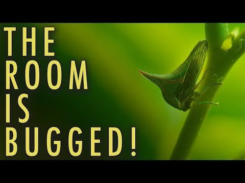 The Room is Bugged!