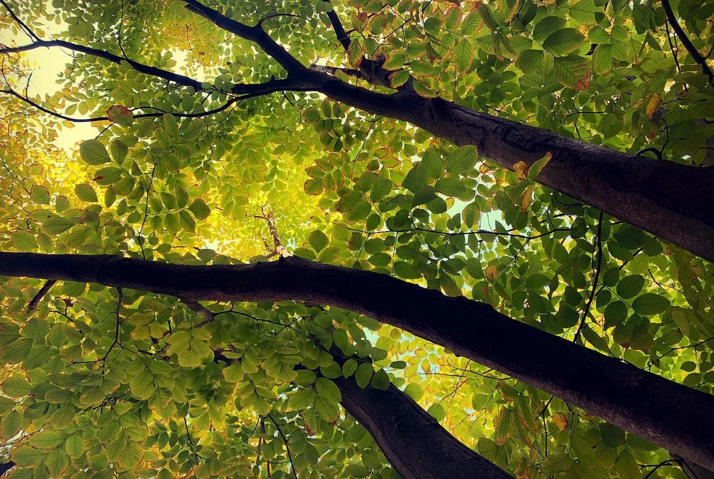 You never know what worse luck your bad luck has saved you from