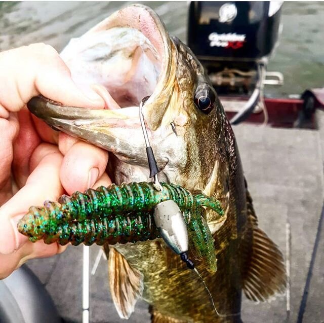 Punching for smallies👍🏼🎣💯 #reactioninnovations #bassfishing