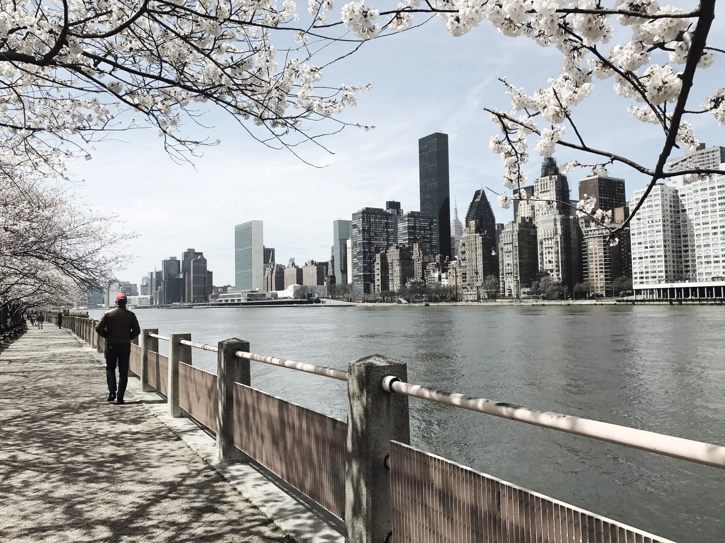  Request for consultation 